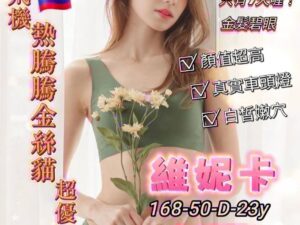 桃園定點金絲貓維妮卡